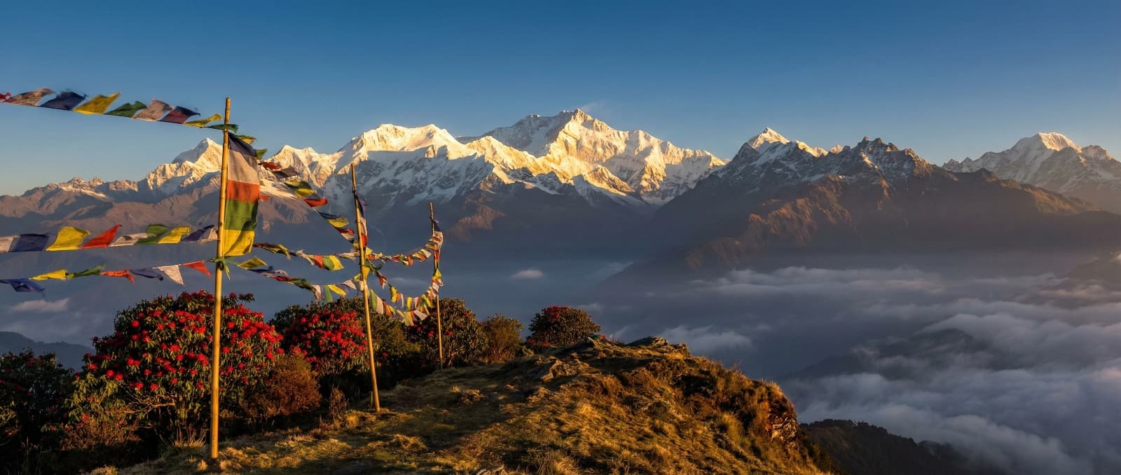 Sandakphu, India - A breathtaking view of the Himalayas from Sandakphu, showcasing snow-capped peaks and lush greenery under a clear blue sky.